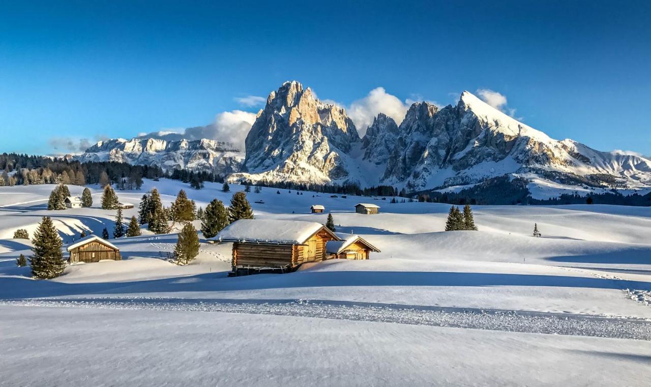 Apartments Vaiolet Santa Cristina Val Gardena Dış mekan fotoğraf